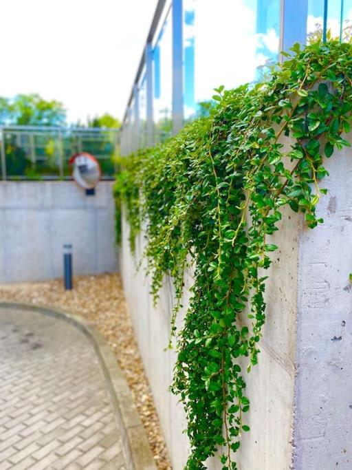 Appartamento Smart Art :) Z Bezplatnym Parkingiem Podziemnym Kielce Esterno foto