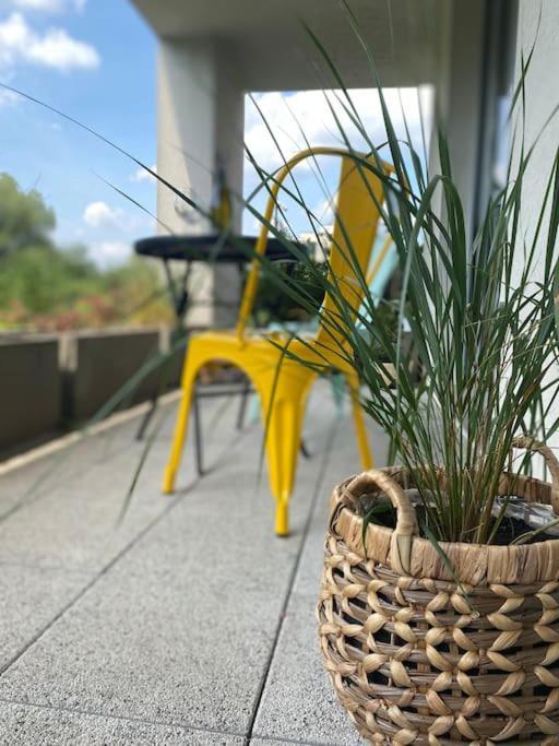 Appartamento Smart Art :) Z Bezplatnym Parkingiem Podziemnym Kielce Esterno foto